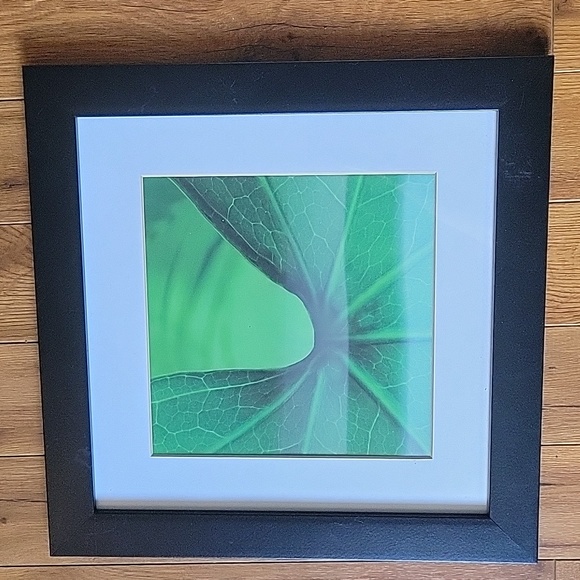 Frog on leaf lenticular décor - Picture 3 of 5